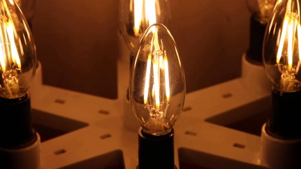 Фото5 SLL E27-C35-5W - LED лампа филамент, 5W, тип С35, цоколь E27, свеча